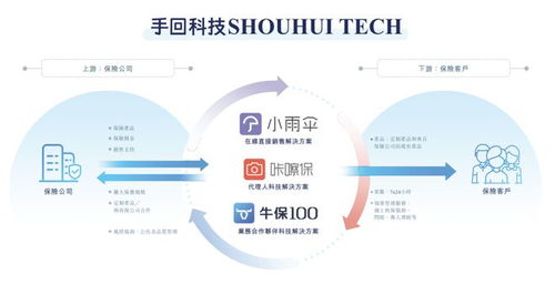 多重困境下的突围 一家业务单一、屡遭波折的保险科技中介，能否叩开IPO之门？